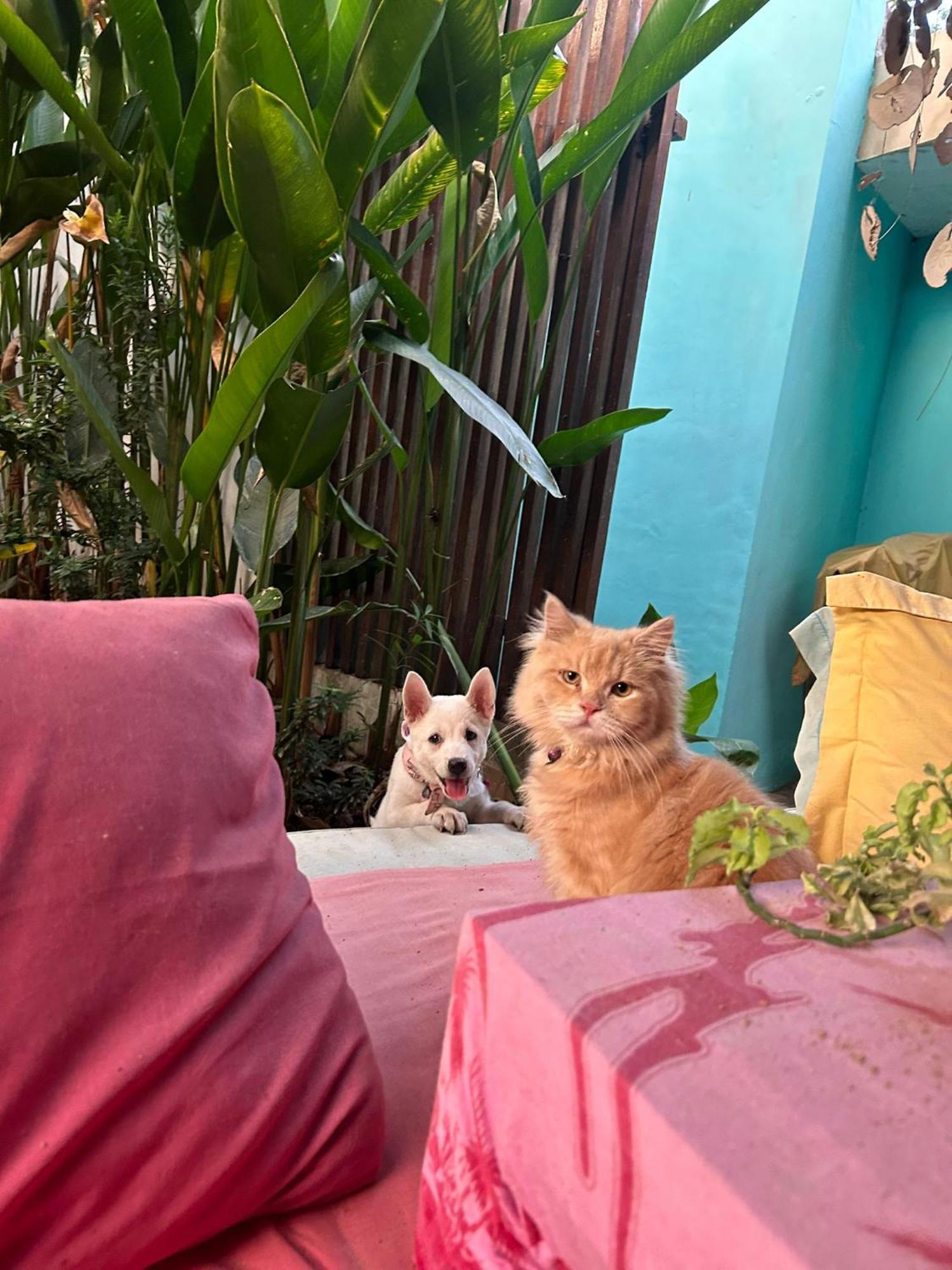 Shalana Homestay- Formerly Teka Teki House Seminyak Zewnętrze zdjęcie