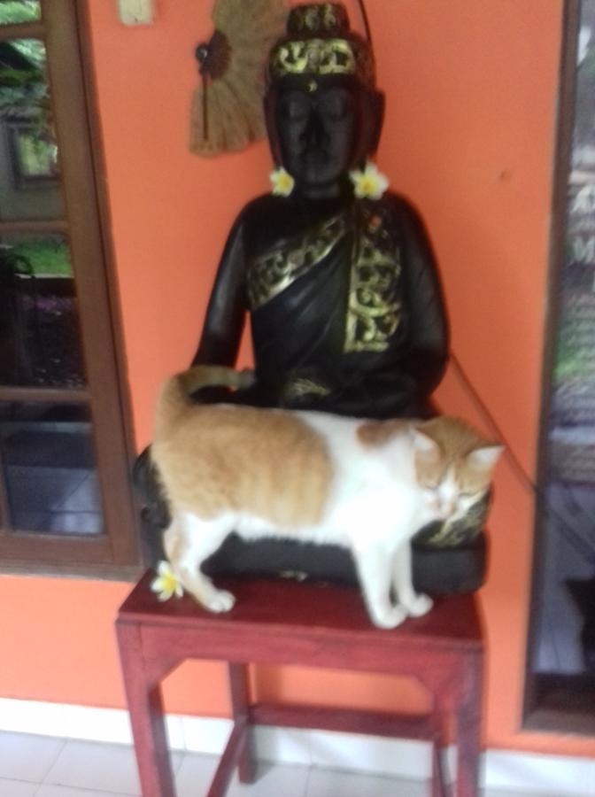 Shalana Homestay- Formerly Teka Teki House Seminyak Zewnętrze zdjęcie